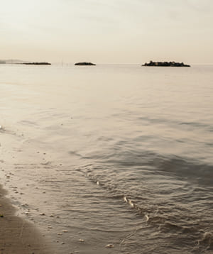 Some image